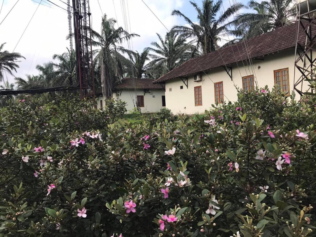 Palm Garden House Otel Quang Tri Dış mekan fotoğraf
