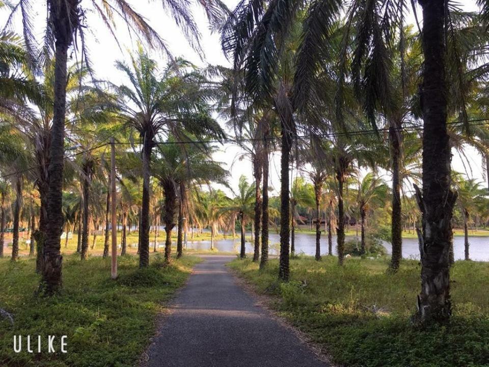 Palm Garden House Otel Quang Tri Dış mekan fotoğraf