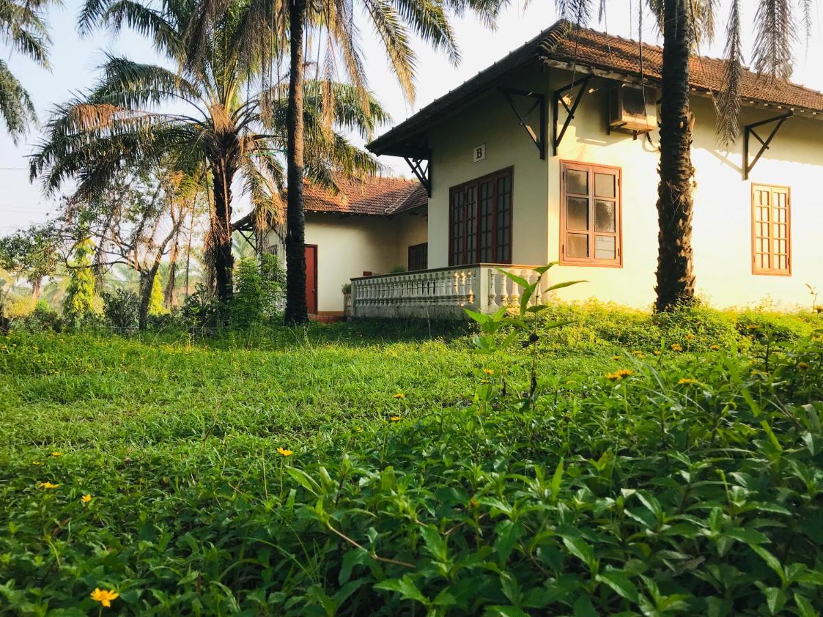 Palm Garden House Otel Quang Tri Dış mekan fotoğraf